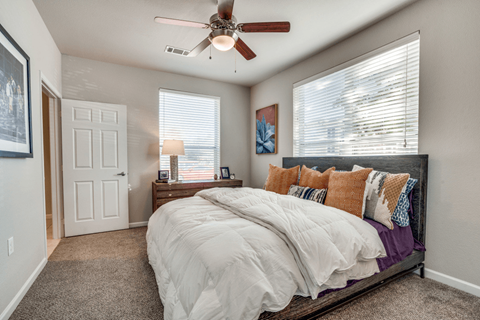 Bedroom facing exterior windows with ceiling fan and dresser next to bed