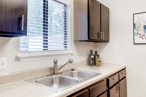 A kitchen with a sink and a window.