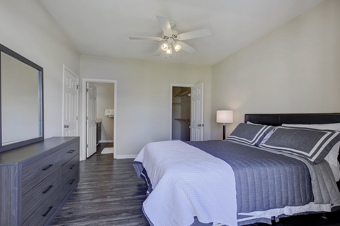 A bedroom with a bed, dresser, and mirror.