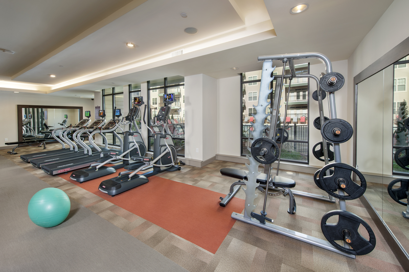Fitness center facing treadmills, a weight machine, and other workout devices.