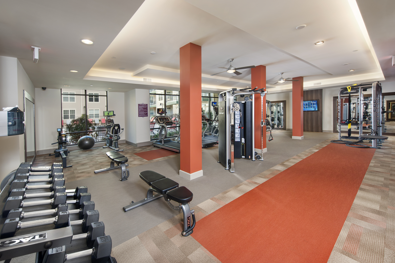 Fitness center area facing dumbbells and overlooking the rest of the gym