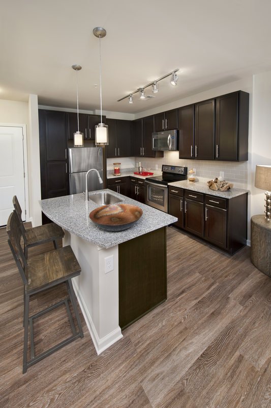 Kitchen with dark cabinets and stainless steel appliances and nickel brushed hardware