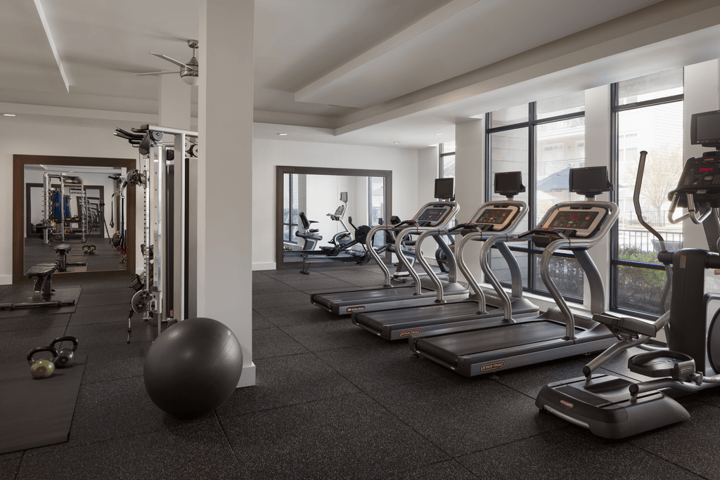 a row of treadmills and other exercise equipment in a gym
