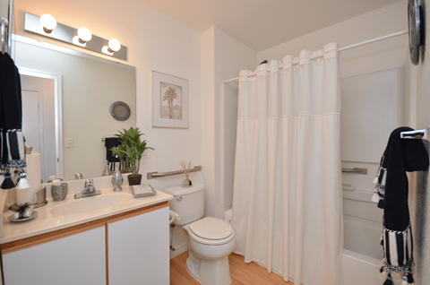 a bathroom with a white toilet next to a bathtub with a shower curtain