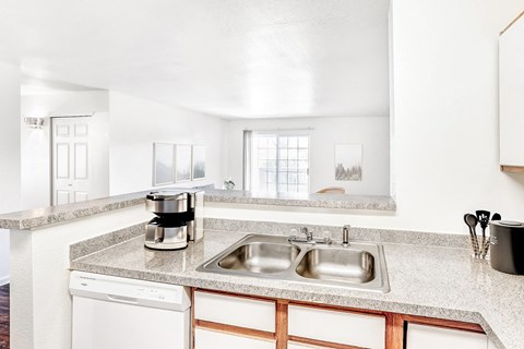 A kitchen with a white dishwasher and a double sink.