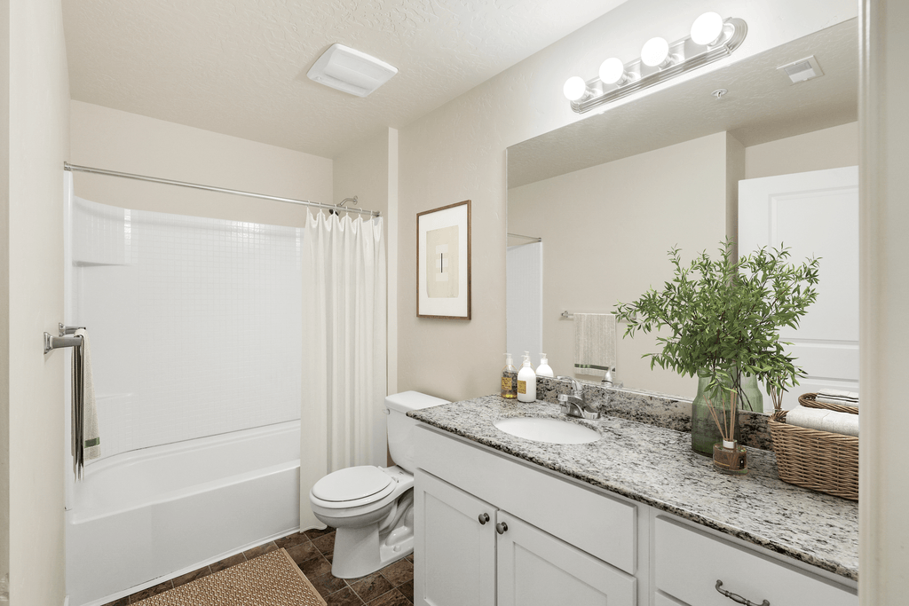 a bathroom with a shower toilet and sink and a mirror