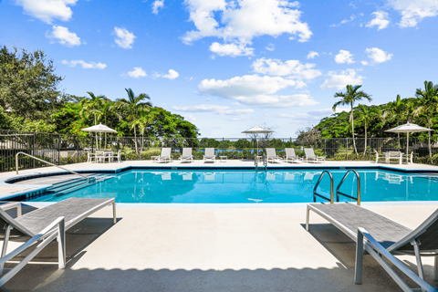 A pool surrounded by palm trees and lounge chairs.
