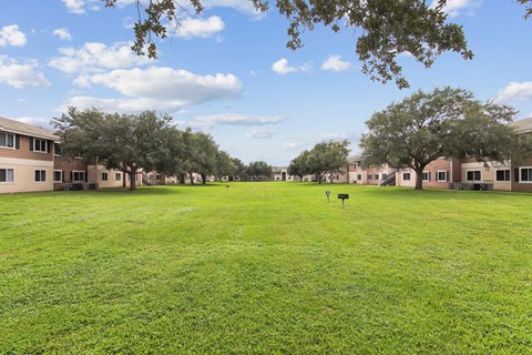A grassy field with trees and buildings in the background.