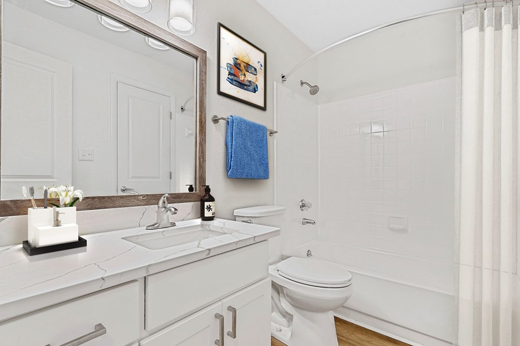 Modern Bathroom at Southpark Commons Apartment Homes, North Carolina, 28210