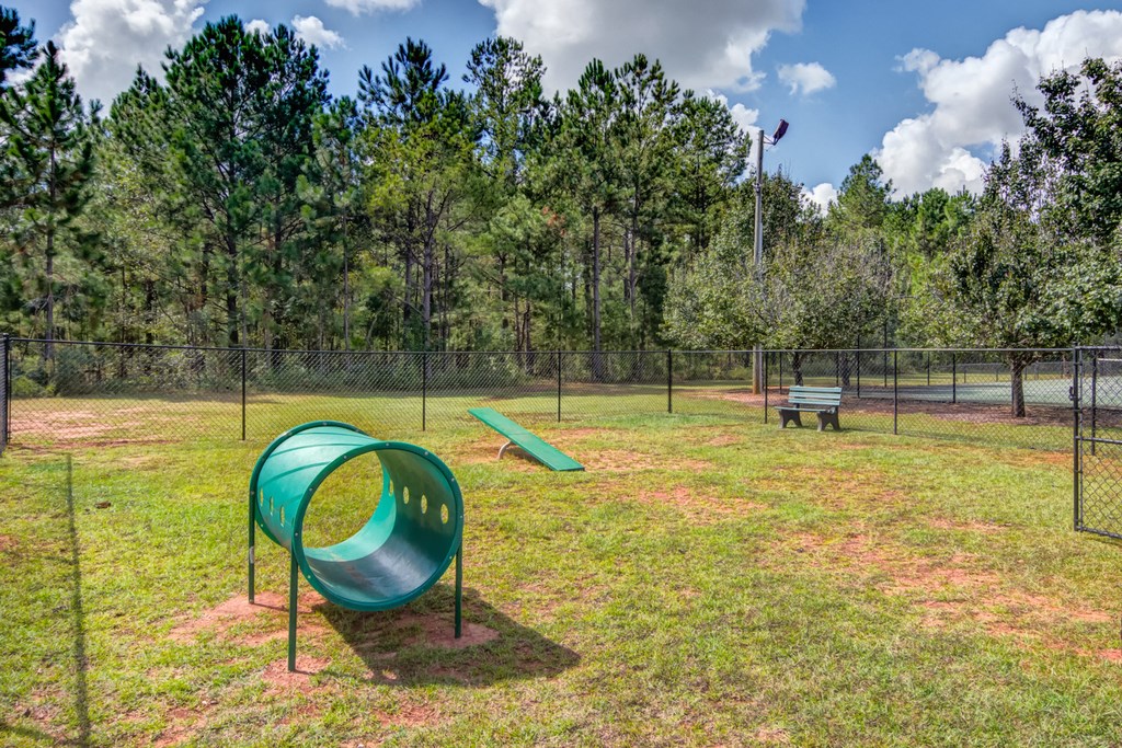 Dog Park with tunnel and ramp for dogs, surrounded by native landscaping