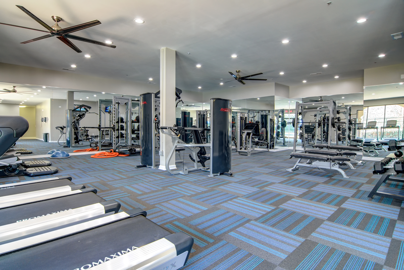 a gym with weights and cardio machines and ceiling fans