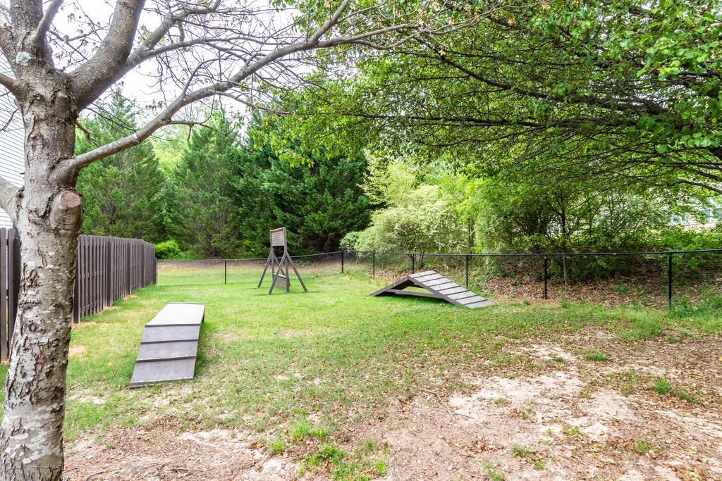dog park with agility equipment