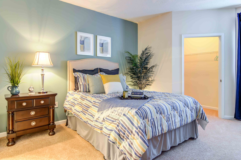 furnished bedroom with carpeted flooring and accent wall