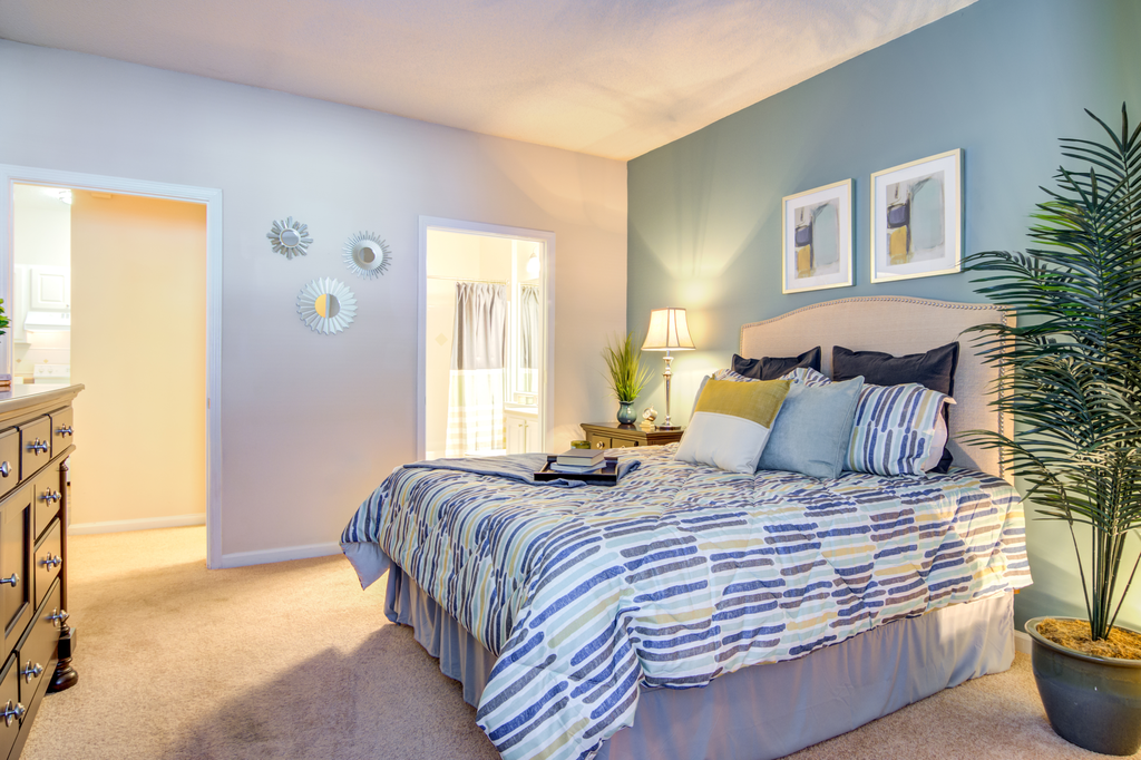 furnished bedroom with carpeted flooring and accent wall