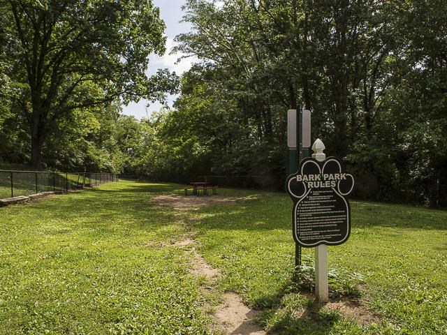Fenced in Dog Park Shaded by Tall Trees
