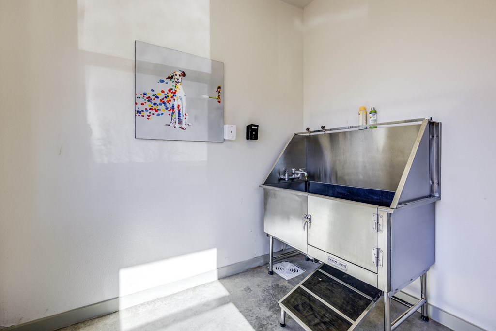 dog wash station with a painting of a dog on the wall