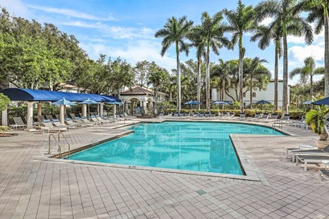 a resort style swimming pool with chaise lounge chairs and palm trees in the background
