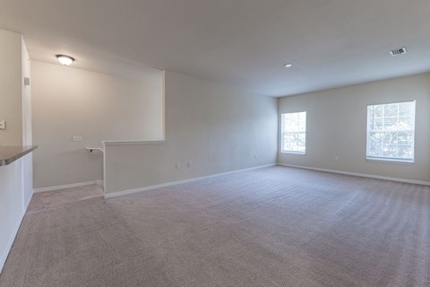 A large, empty room with carpeted flooring and two windows.