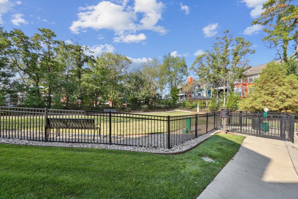 A park with a fence, bench, and trees.