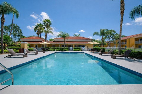 A swimming pool surrounded by palm trees and lounge chairs.