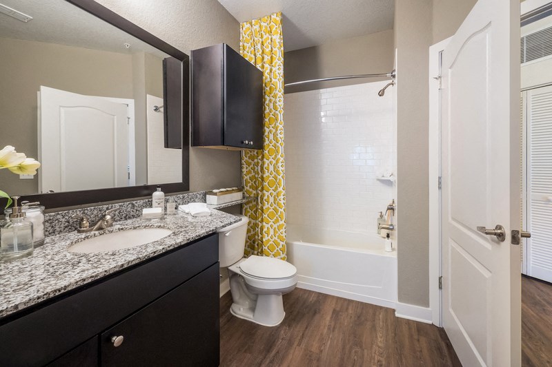 a bathroom with a shower toilet and sink and a mirror