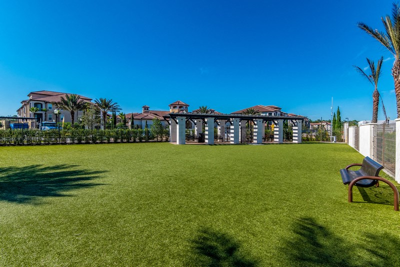 a lawn with a chair in front of a building