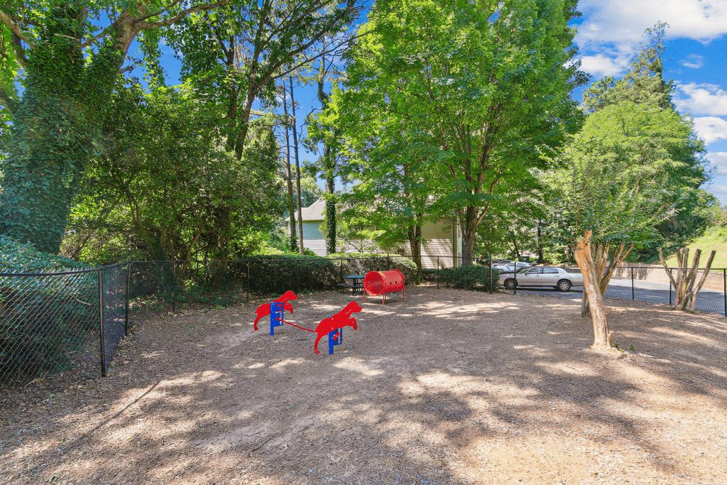 two red dogs playing in a dog park