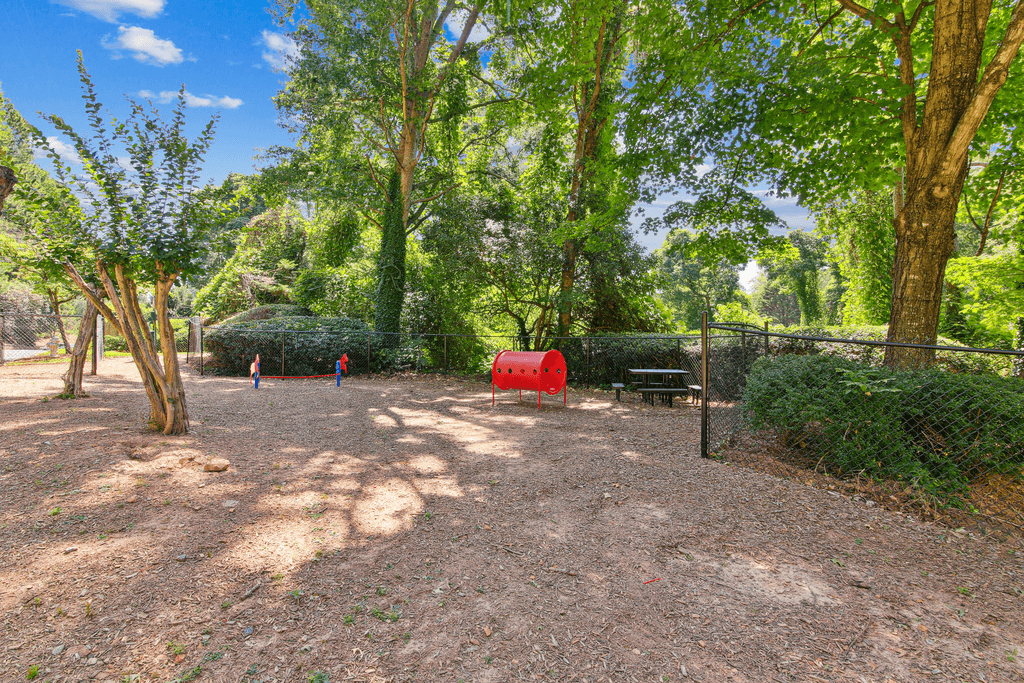 children playing in a fenced in dog park with trees