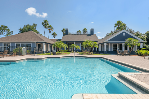 resort style pool with palm trees and lounge seating