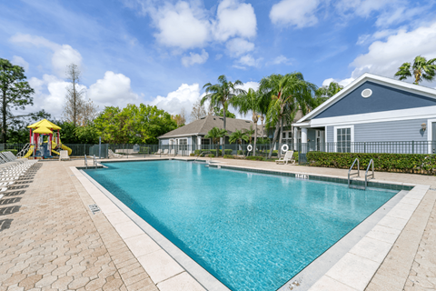 Swimming pool with lounge chairs and palm trees