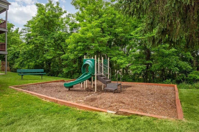 Green and Yellow Playground Near Treeline in Courtyard