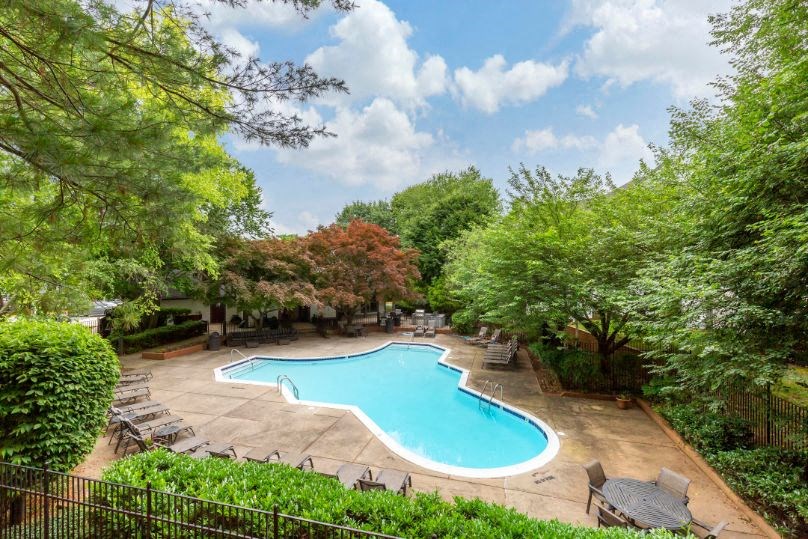 Aerial View of Swimming Pool Surrounded by Trees
