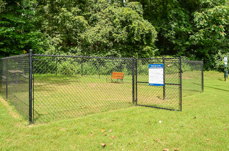 a park with a bench and a fence