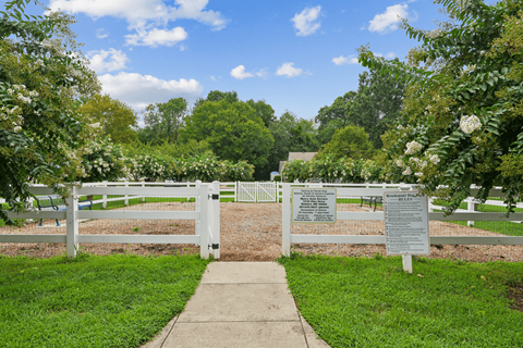 dog park with a white fence