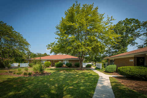 A tree in a yard with a house in the background.