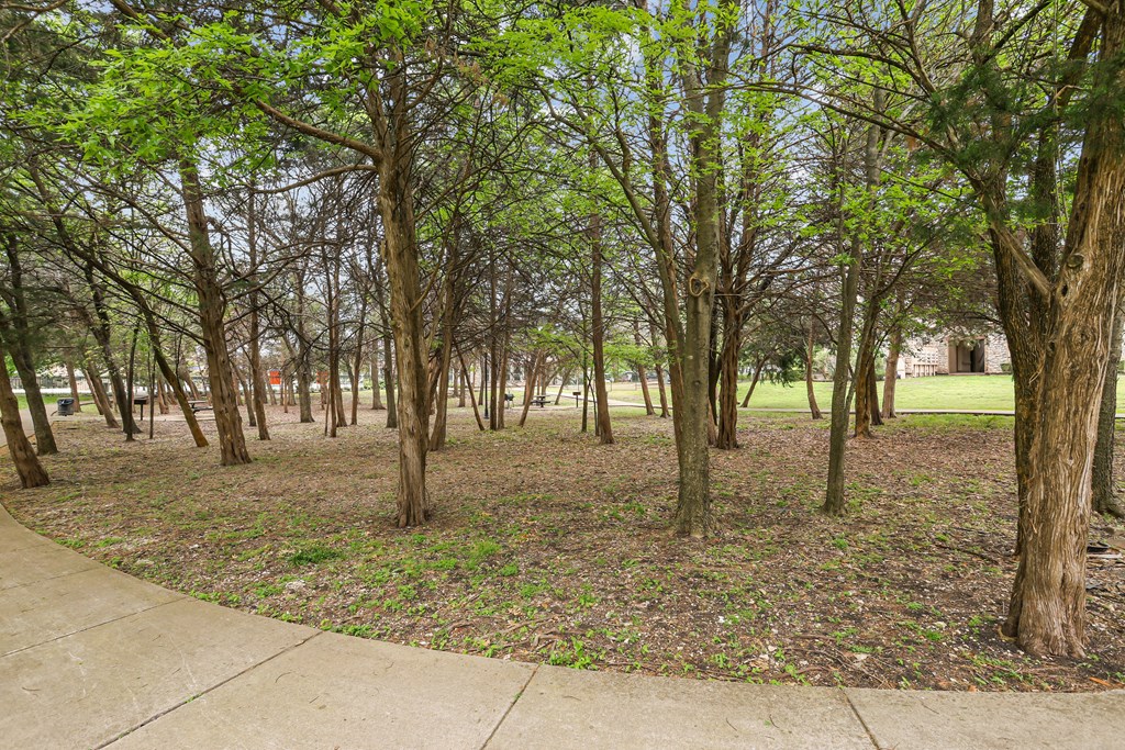 A park with a lot of trees and a sidewalk.