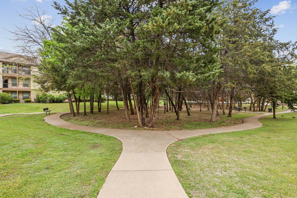 A tree-lined walkway in a park.