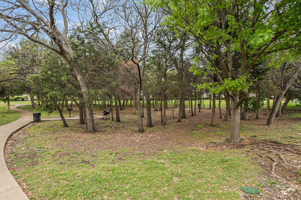 A park with a lot of trees and a path.