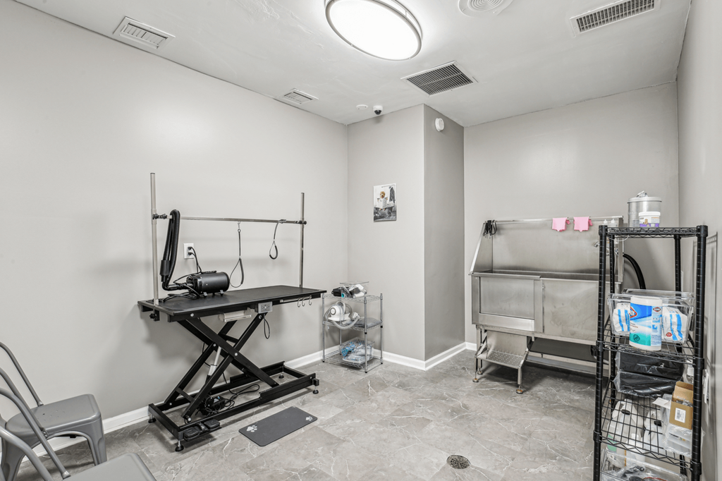 pet grooming station