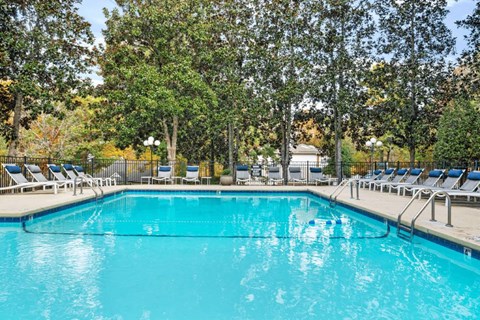 a swimming pool with chaise lounge chairs and trees in the background