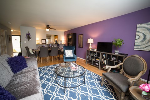 A living room with a grey sofa and a blue and white patterned rug.