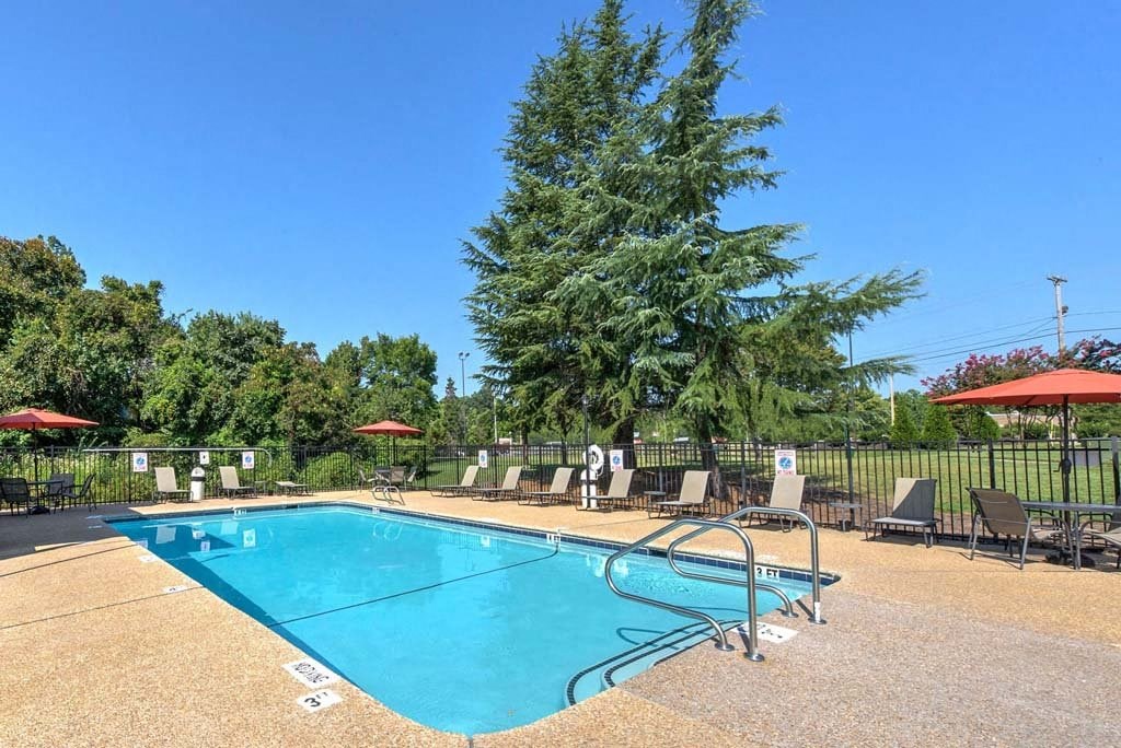 A large swimming pool surrounded by trees and lounge chairs at Fox Hollow Apartment Homes, High Point
