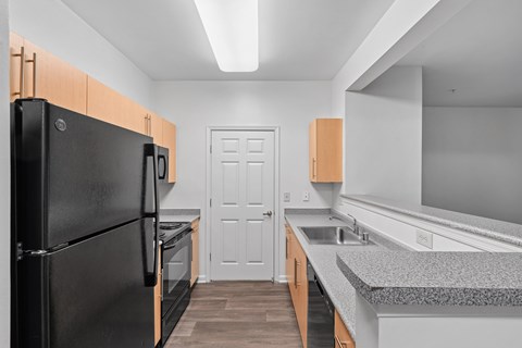 kitchen with black appliances