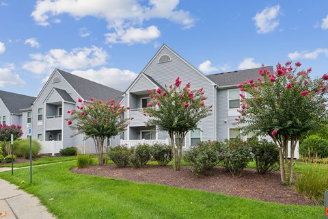 A row of houses with trees and flowers in front.