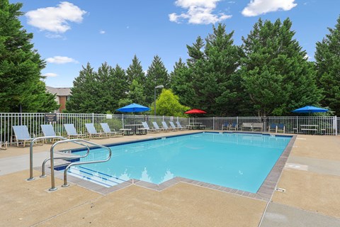 A swimming pool surrounded by trees and chairs.