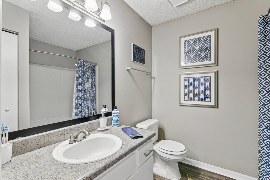 a bathroom with a sink and a mirror and a toilet