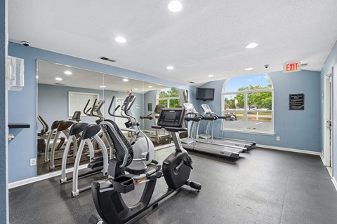 A gym with treadmills, exercise bikes, and elliptical machines.