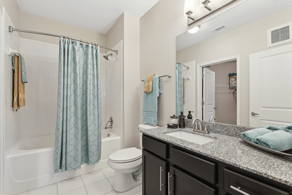 a bathroom with a shower toilet and sink and a mirror