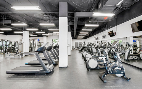 A gym with treadmills and exercise bikes.