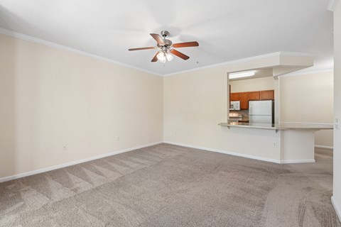 A room with a ceiling fan and carpeted floor.